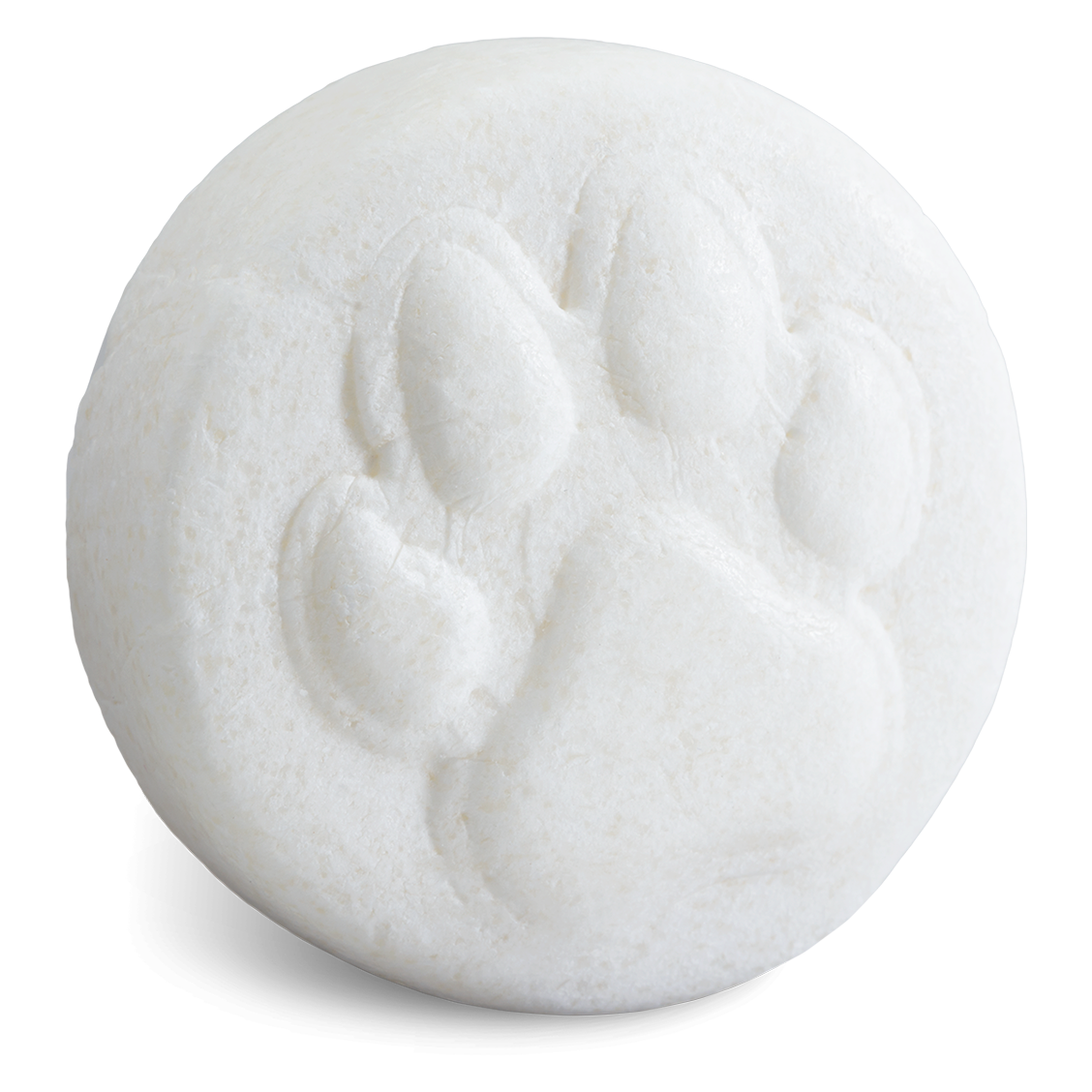 Dog Shampoo | Gee Your Dog Smells Terrific