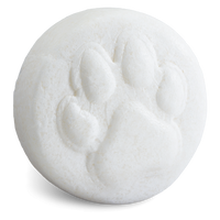 Dog Shampoo Gee Your Dog Smells Terrific